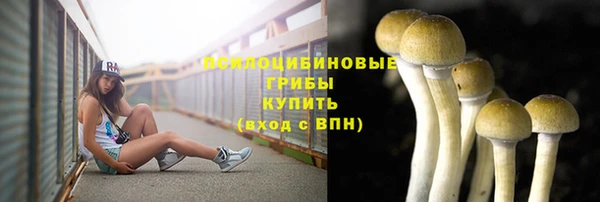 прущие крисы Саяногорск