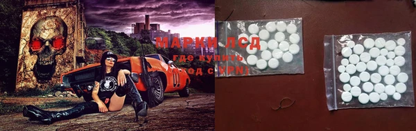 индика Сатка