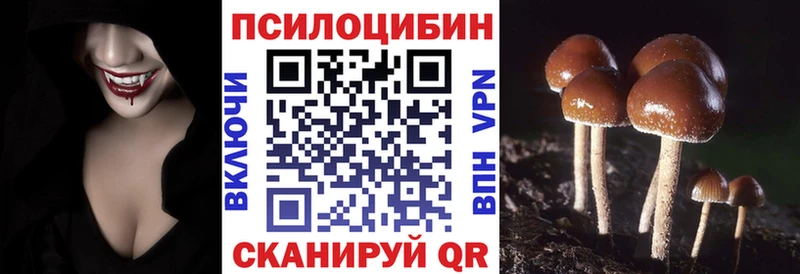 Псилоцибиновые грибы Psilocybine cubensis  Купить закладки  Усть-Лабинск 